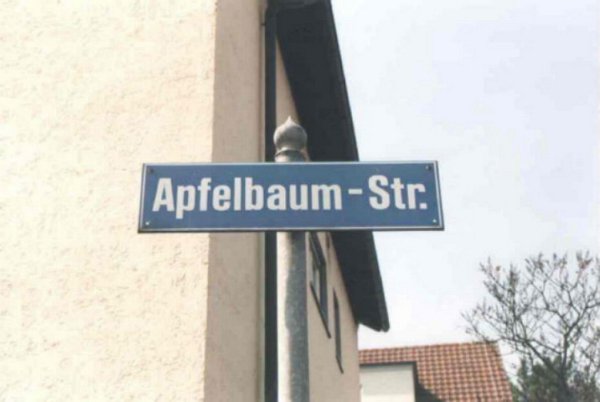 apfelbaum36